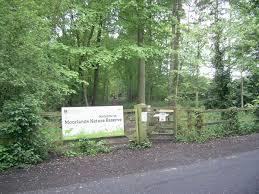 Moorlands Woodland Nature Reserve